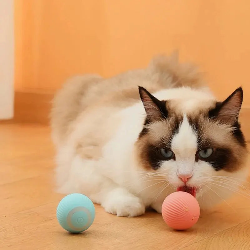 Brinquedo para Gatos com Bola Rolante Inteligente - Diversão Infinita para o Seu Felino!